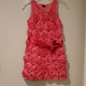 Gap Kids Pink Roses Dress Size 10 (L)